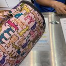 작은 친구 동물병원 이미지