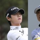 노랑머리 이미지