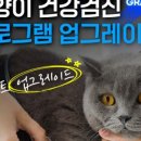 스무살의꿈 동물병원 이미지