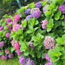 재원농장 이미지