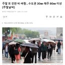 주말 또 강한 비·바람…수도권 30㎜·제주 80㎜ 이상 [주말날씨] 이미지