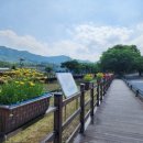 금산천 이미지