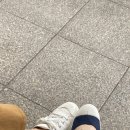 보타니카 이미지