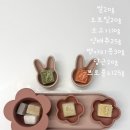 가늠계기 - 790 | 로코유 이유식기 내돈내산 후기 (초기 이유식 준비물 흡착볼 추천)