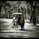 인생마차 이미지