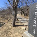 대곡천 이미지