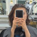 비엠헤어 - 김해시 경원로55번길 8 | 역삼두피클리닉 비엠헤어다이스2 하나 디자이너 두피관리 리얼 후기