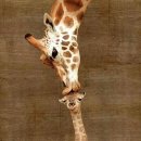 티디컴퍼니 이미지