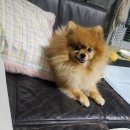 헤어바이지민