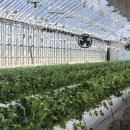 만봉농장 이미지