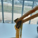 만주반점 이미지