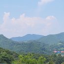 산청나리꽃펜션 | 산청펜션:산청래프팅:산청나리꽃펜션