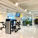 모티빅 피트니스 이미지