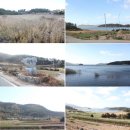 보건지소 2층(노인회분회) | 완도 앞바다는 물 반 전복 반이더이다!(22)-소안도