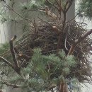 공인 외국어 번역 행정사 사무소 | 중국에서 공증받은 무범죄 증명서, 한국어로 번역후 번역확인증명서 발행조치(2026.02,05)