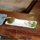 하루참치 수영점 이미지