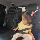 싸이벡스 솔루션T 컴포트 내돈내산 31개월 아이 카시트 바꾼 후기
