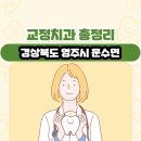 영주시문수면보건지소 | 경상북도 영주시 문수면 교정치과 총정리