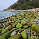 바닷가 숲속 이미지