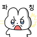 고고싱모터스 이미지
