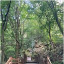 동북아시아 미술 문화 기행 | [충남 서산] 이틀간 사찰 답사--개심사, 서산마애불, 보원사지