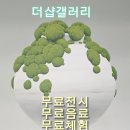 (주)그림건축디자인 | 자곡동 더샵갤러리 초대전 ‘이끼, 공존의 시대’ 후기｜서울 무료전시 무료체험까지