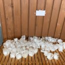 솔빛숲유치원 이미지