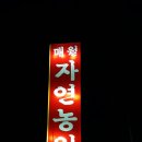 매월자연농원 네이버블로그