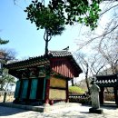 남해-183 이미지