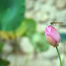 우솔한의원 이미지