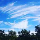 정석 행정사사무소 이미지