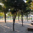 퍼피포레스트 이미지