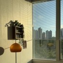 클럽미즈라미체의원 이미지