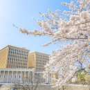 경희대학교 평화복지대학원 이미지