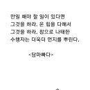 담마빠다 이미지