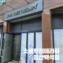 힐링소울 | 일산 마사지 몸과 얼굴 모두 힐링하는 곳 소울트리테라피 일산백석점