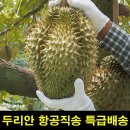 고씨네 이미지