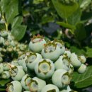 목골농장 이미지