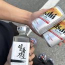경주 여름 캠핑 넓은 수영장이 있는 별빛은하수캠핑장 A2 사이트 후기