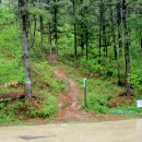 회천면사무소 | 제암산에서 일림산까지 환상의 철쭉 산행 후기