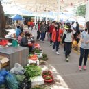 행림초등학교 이미지