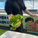 새움3로 | 대구 근교 새우잡기 체험 '새움길 생태체험관'ㅣ5살 6살 형제 체험 후기