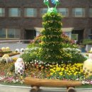 전남대후문 이미지