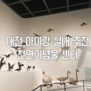 유등로 | 대전 천연기념물 센터 아이랑 실내 스탬프 투어 추천 무료 관람 후기