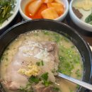 정원돼지국밥 | 종로 맛집 &#39;엄용백 돼지국밥&#39; 방문 후기(강추!!)