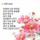 샬롬 이미지