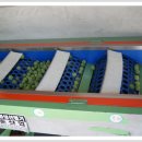 유리농원 이미지