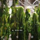 팔팔세탁소 이미지
