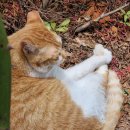 (주)리더스헬스케어 이미지