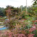 (주)호성 이미지